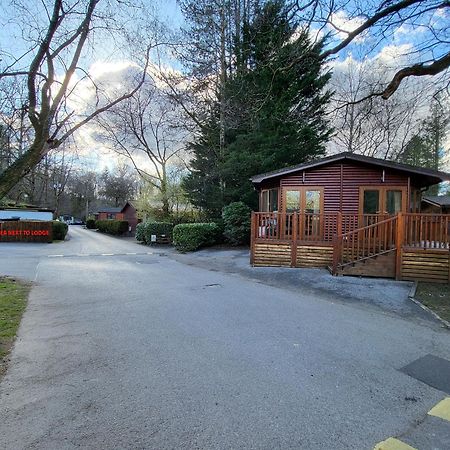 Cheerful 3 Bedroom Lodge At White Cross Bay Windermere Esterno foto